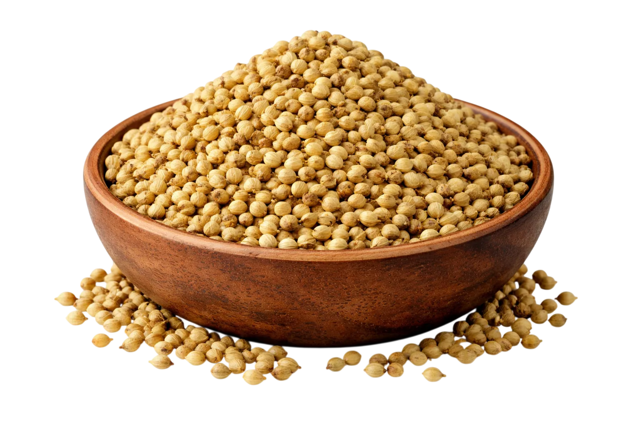 Coriander Seeds