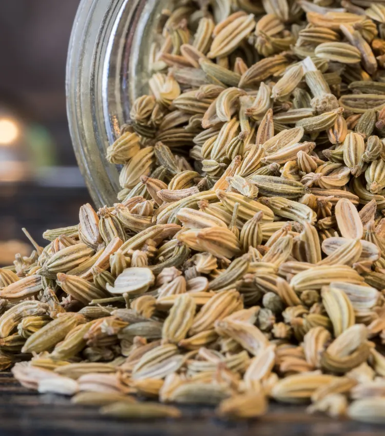 Fennel Seeds banner