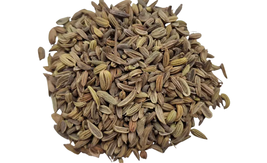 fennel seeds